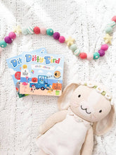 Ditty Bird - NEW | Color Songs | Ditty Bird Sound Book-Book-Paris Pink & Cowboy Blue Baby Boutique